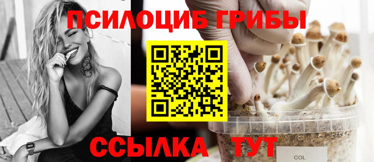 Галлюциногенные грибы Magic Shrooms Хабаровск